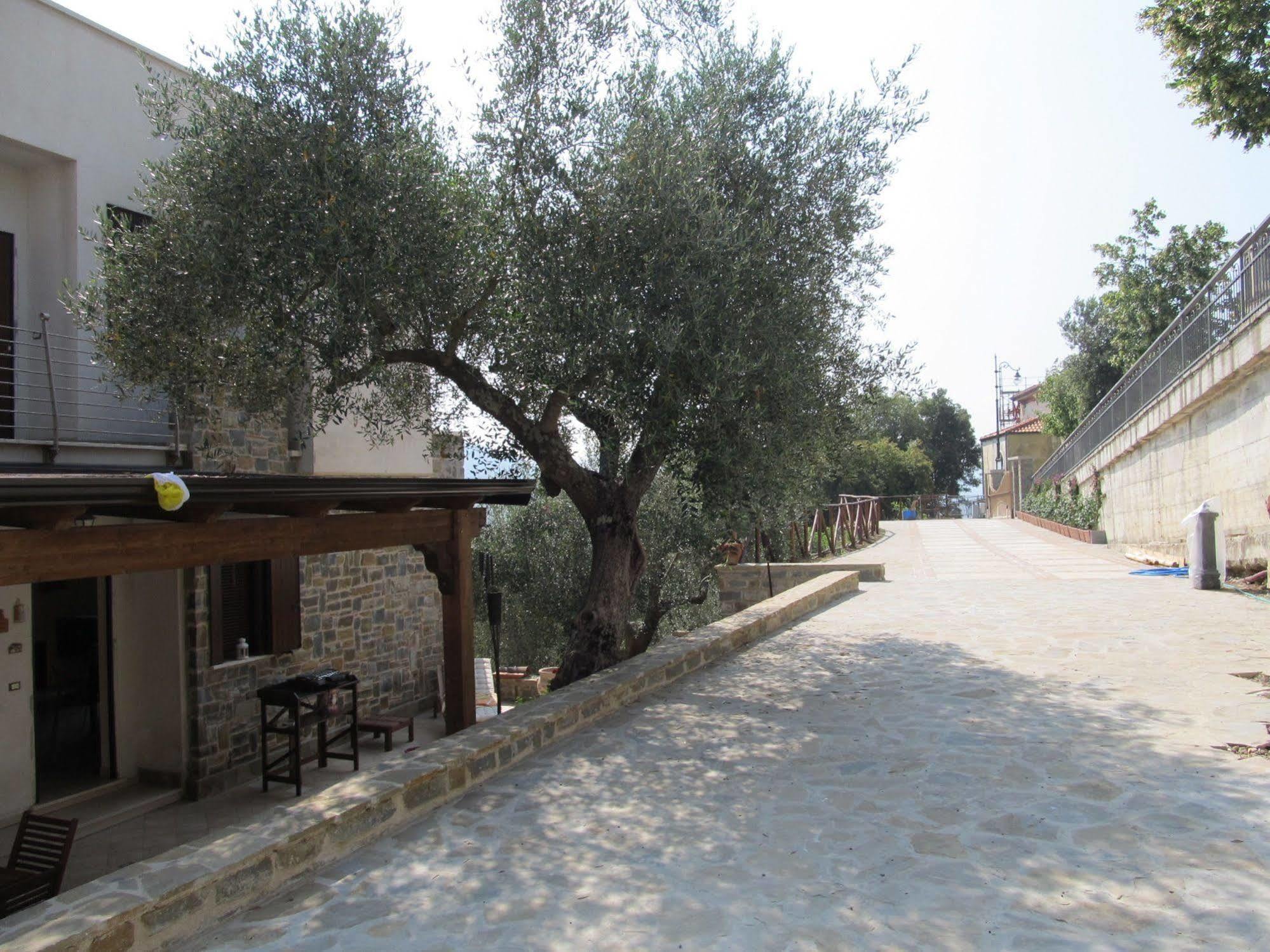 Casal Finocchito Villa Ogliastro Cilento Luaran gambar